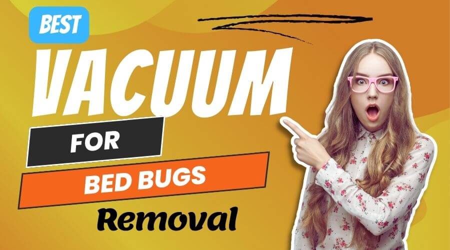 The Best Vacuum for Bed Bugs Top 4 Tested Picks